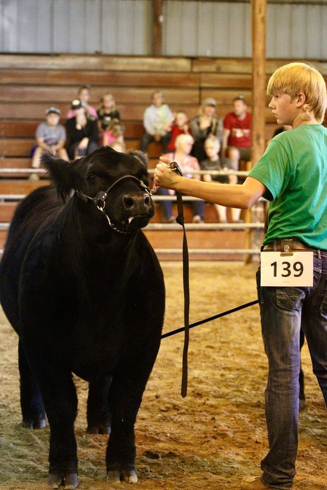 Kossuth County Fair Algona High School