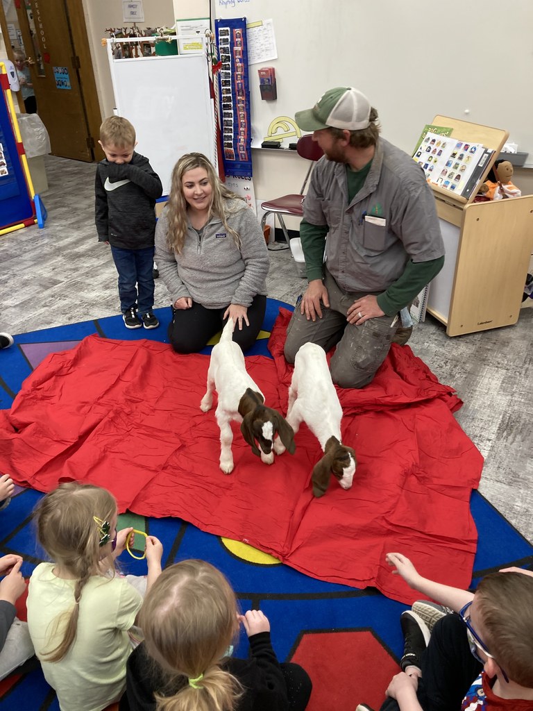 Goats visiting Preschool