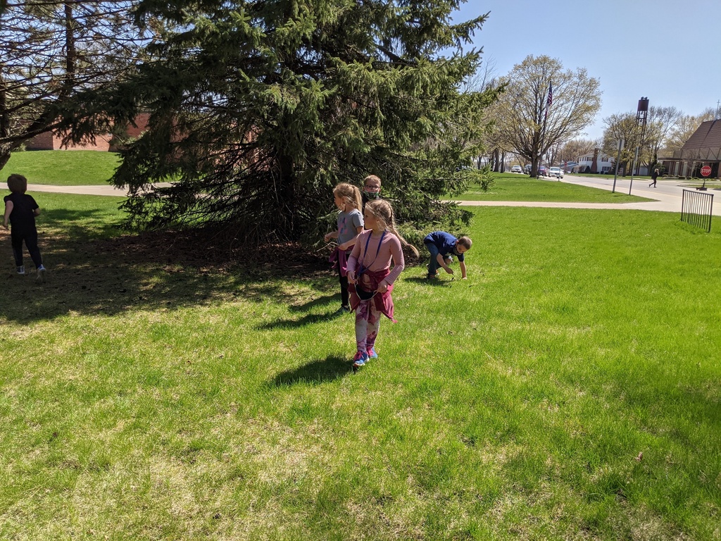 Kindergarten students picking up sticks